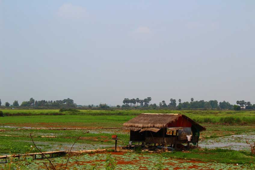 Cambodian-landscape