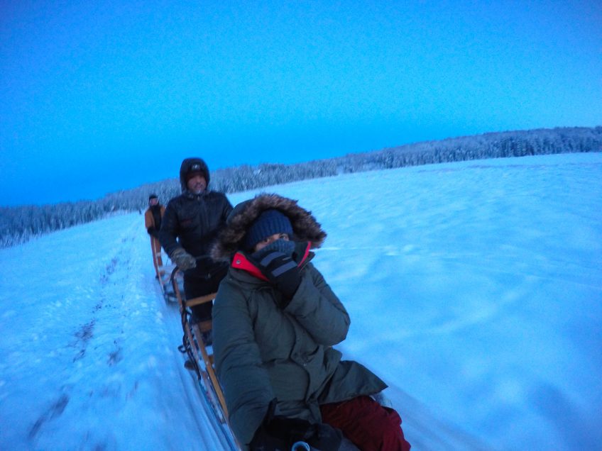 dog sledding things to do in alaska