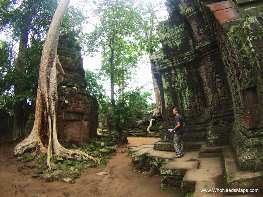 Jack at ta prohm - Angkor Wat pictures 