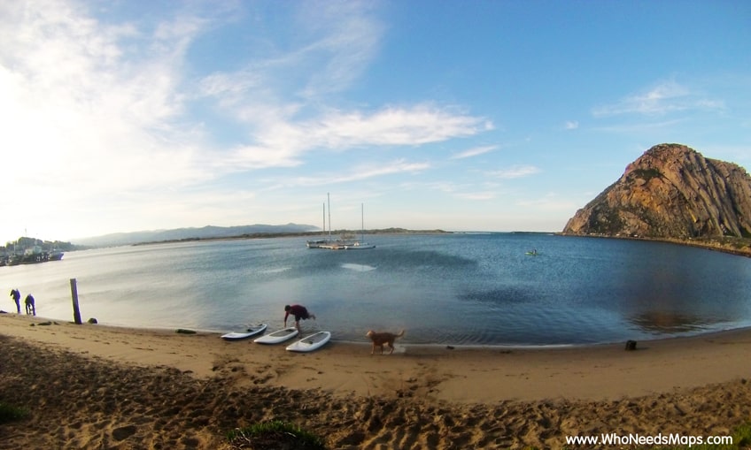 paddle board lessons beach paddles