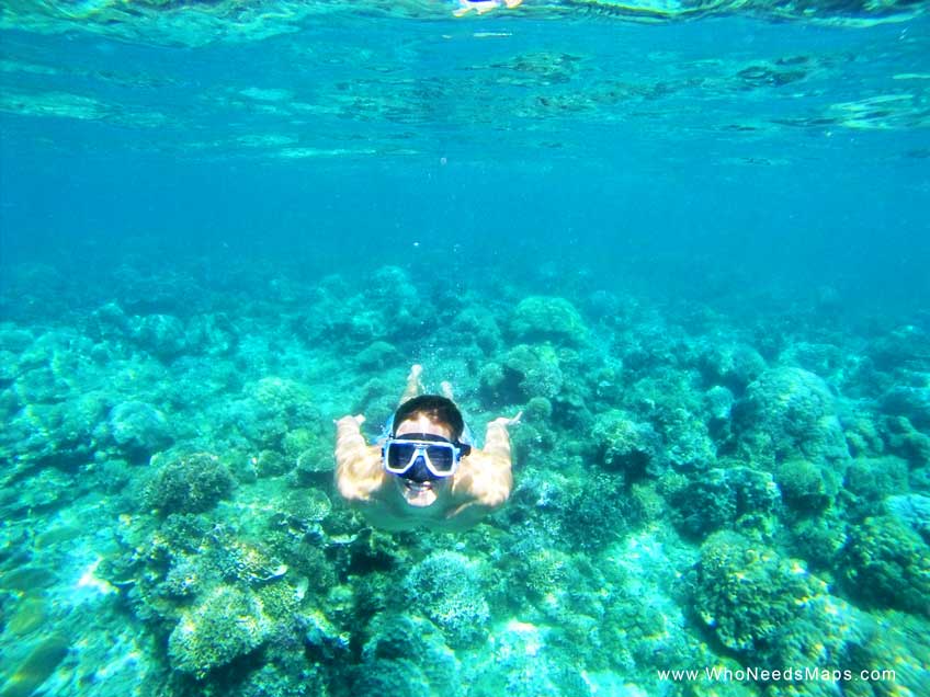 snorkeling in thailand - koh samui