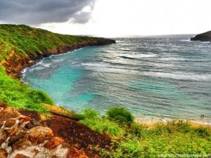 roberts hawaii tour hanauma